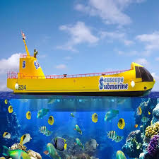 Submarine Experience