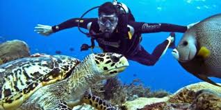 Hurghada Diving Trip