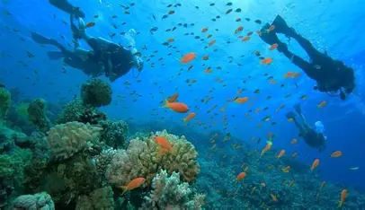 Marsa Alam Diving Intro Double
