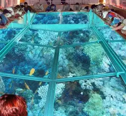 Dahab Glass Bottom Boat